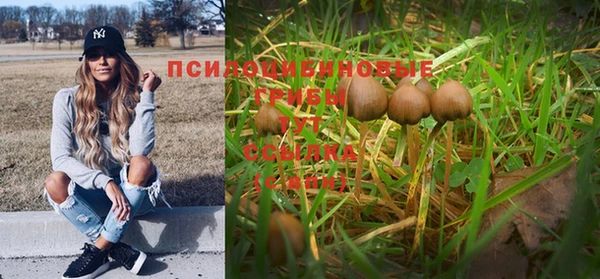 индика Кинешма