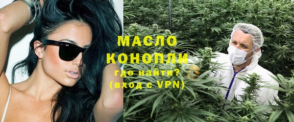индика Кинешма