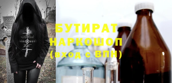 индика Кинешма