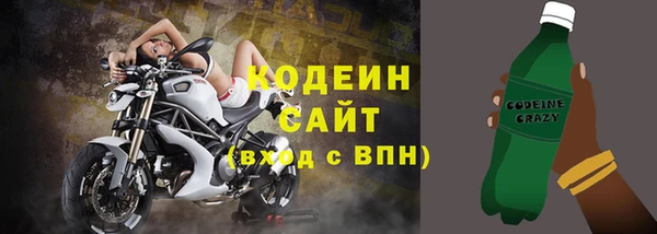 индика Кинешма