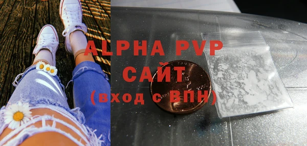 индика Кинешма