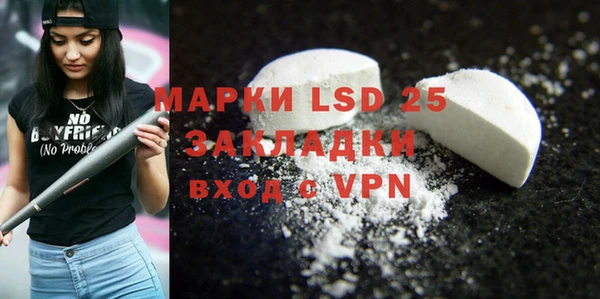 индика Кинешма