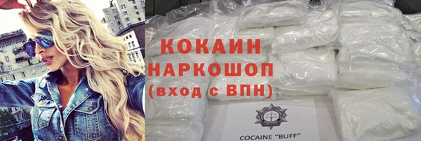 индика Кинешма