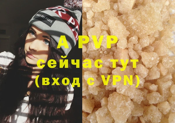 индика Кинешма
