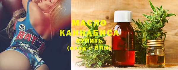 индика Кинешма