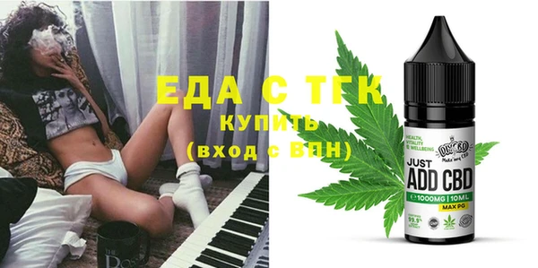 индика Кинешма