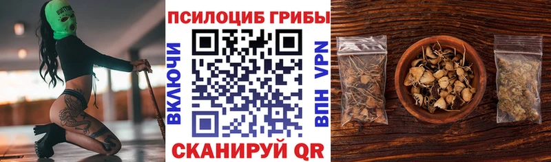 Купить  Голицыно  Галлюциногенные грибы Cubensis 